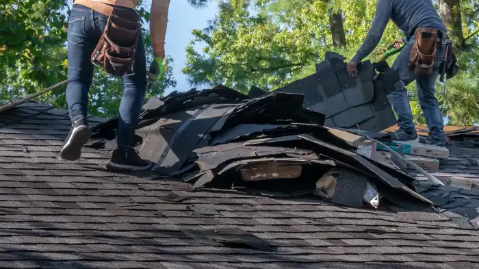 Featured image for does foremost insurance cover roof leaks
